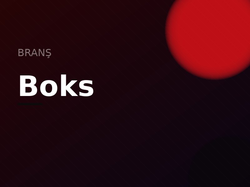 Boks branşı — Ring Dövüş Akademisi